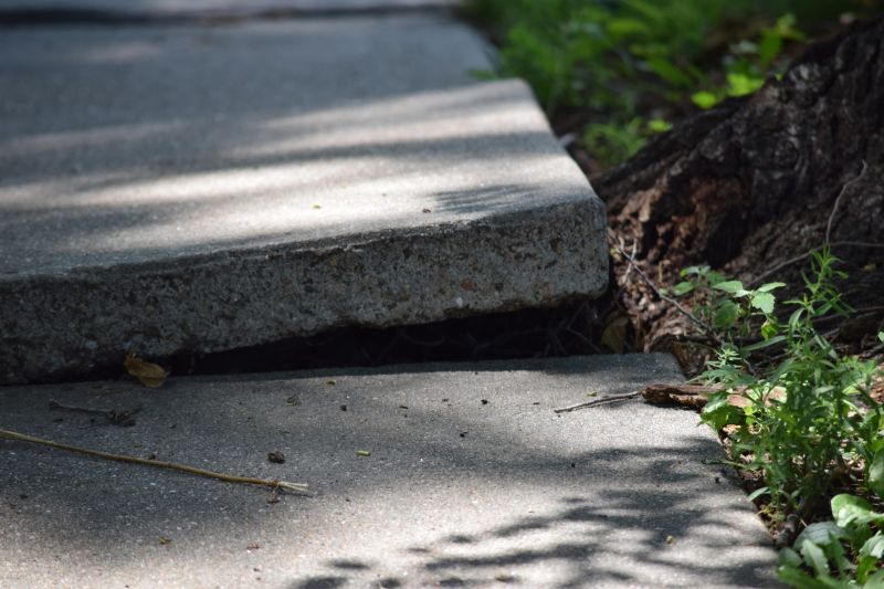 Sunken Sidewalk Repair in Tampa, FL